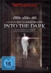 Into The Dark (Raritt) 