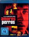 Amores Perros 