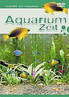 Aquarium Zeit 