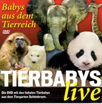 Tierbabys - Live 