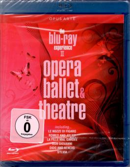 Opera Ballet & Theatre (Experience 2) 
