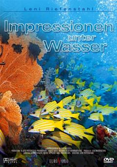 Impressionen Unter Wasser 