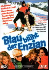 Blau Blüht Der Enzian 