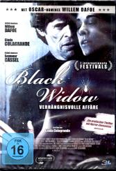 Black Widow - Verhängnisvolle Affäre 