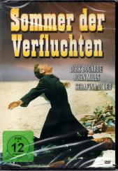 Sommer Der Verfluchten 