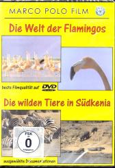 Die Welt Der Flamingos-Die Wilden Tiere In Südkenia 