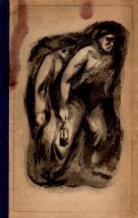 Germinal - Emile Zola (Siehe Info unten) 