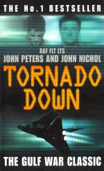 Tornado Down - The Gulf War Classic (In Englisch) (Rarität) (Siehe Info unten) 