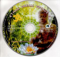 Ethnic Dream Voyage 2 - Dariusz Bartosiewicz (Rarität) (Siehe Info unten) 