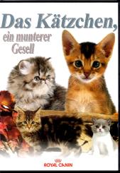 Das Kätzchen - Ein Munterer Gesell (Rarität) (Siehe Info unten) 