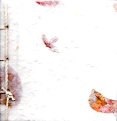 SAA - Papier & Design Vom Maulbeerbaum (Papierbuch) 