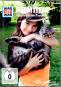 morepic-1