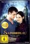 morepic-1