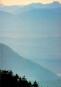morepic-2
