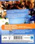 morepic-2