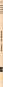 morepic-3