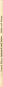 morepic-3