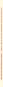 morepic-3