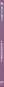 morepic-3
